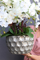 Greiea, sztuczny storczyk w metalowej donicy