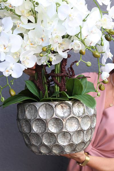 Greiea, sztuczny storczyk w metalowej donicy