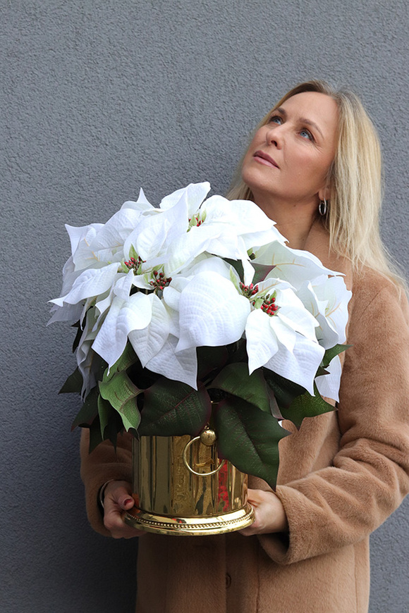 Gwiazda Betlejemska Cooler Deluxe White, wysokiej jakości sztuczna roślina