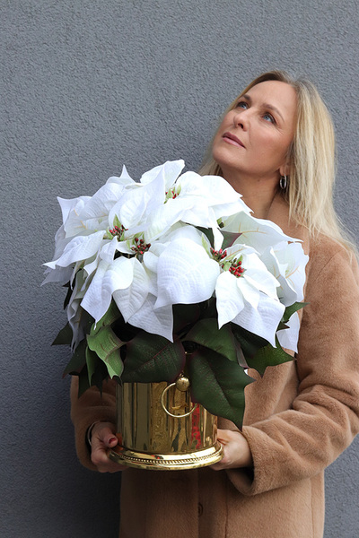 Gwiazda Betlejemska Cooler Deluxe White, wysokiej jakości sztuczna roślina