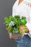 Green Celita, zielona kompozycja w betonowej donicy