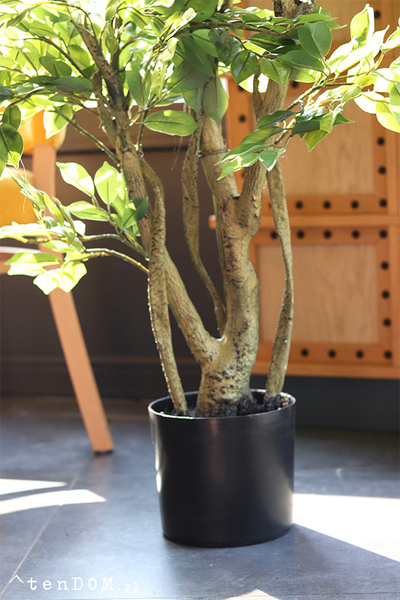 Fikus Benjamin F, sztuczna roślina w doniczce