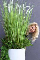 Fiberglass Grande Greeneria, trawa w białej donicy z paprocią, wys.185cm