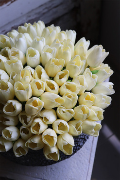 Eduardo Medoria, kompozycja wiosenna z piankowymi tulipanami, wym.26x25cm