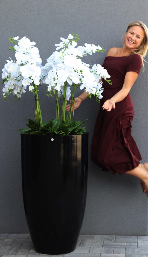 Fiberglass Black Grande Felice 2, ogromny storczyk w donicy