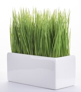 OD RĘKI Simplica C, sztuczna trawa w doniczce, wys.23cm