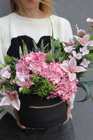 Hortense Poetic, flowerbox z hortensjami