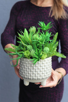 Ivano, kompozycja sukulenty w naczyniu