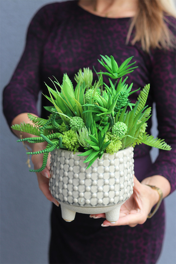 Ivano, kompozycja sukulenty w naczyniu