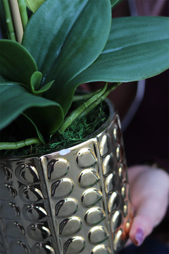 Santana Gold, sztuczny storczyk w złotej donicy, wys.55cm  