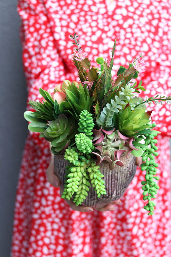 Hedute, sukulenty w ozdobnej donicy