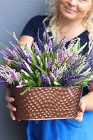 Wrzosowisko Trio, kompozycja kwiatowa w donicy