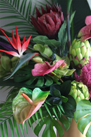 Schiele Premium Red, strelicja kompozycja w złotej donicy