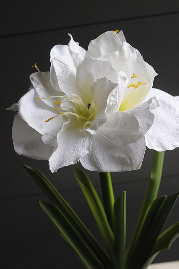 Amarylis Simple White, sztuczna roślina w doniczce