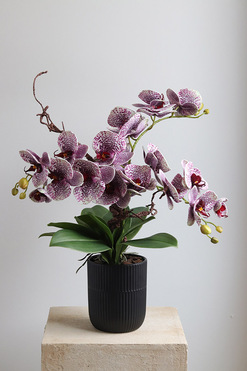 OD RĘKI Purple Fantasy, fioletowy sztuczny storczyk w czarnej donicy, wys.56cm 