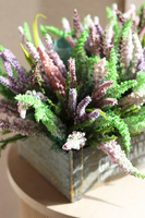 Wrzosowisko Green Garden, wrzosy w skrzynce	