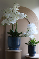 Deep Blue Big, sztuczny storczyk w granatowej donicy