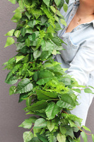 Blue Provance, dekoracyjna girlanda z hortensją na wejście