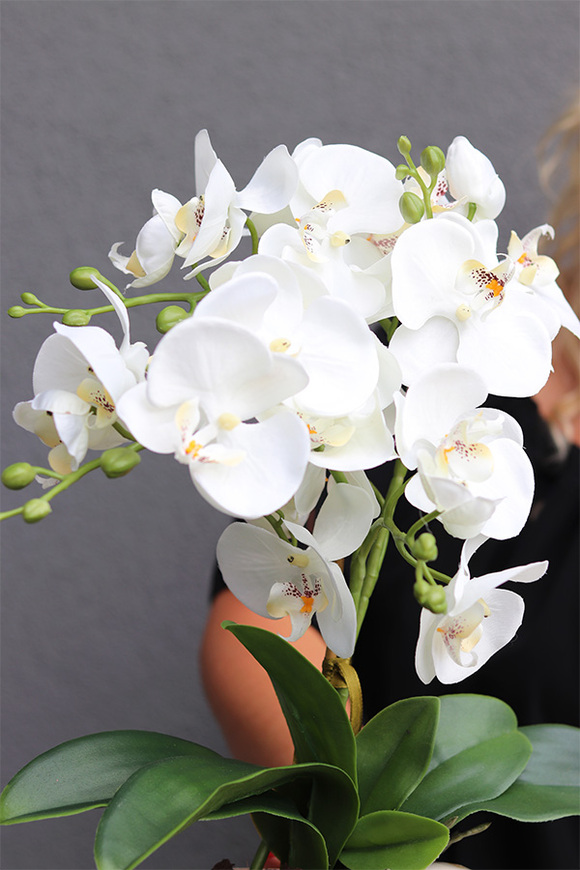 Muszla, sztuczny storczyk w dekoracyjnej donicy,