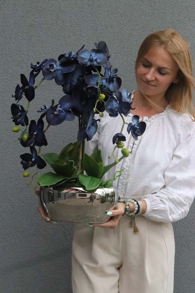Blue&Silver, storczyk w lustrzanej donicy glamour