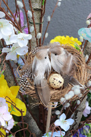 Spring Collection, wiosenna kompozycja roślinna