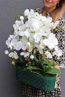 Dark Green Orient 3, wysokiej jakości sztuczny storczyk