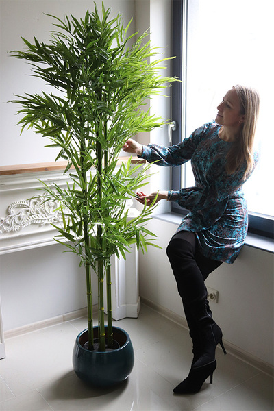 Bambus, sztuczna roślina w osłonce z tworzywa