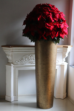 Gwiazda Betlejemska Hillton XXL, wysokiej jakości sztuczna roślina, wys.200cm