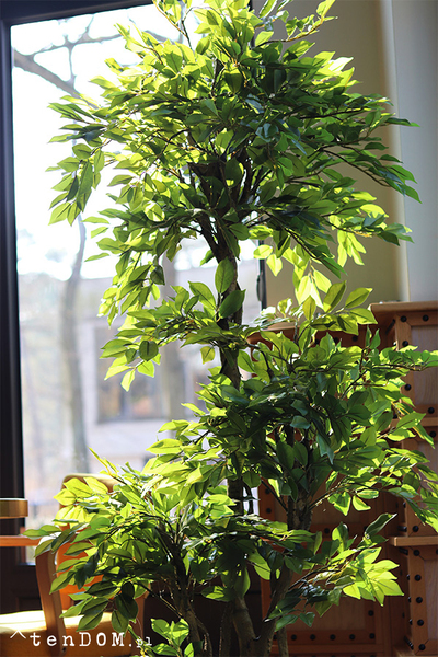 Fikus Benjamin F, sztuczna roślina w doniczce