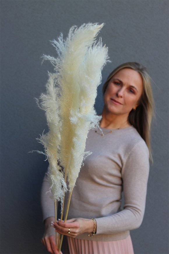 Pampasy Cream Long, bukiet suszonych traw