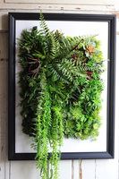 czarna jednostronna rama Lisbon Hotels Sukulenty, wym.77x57cm