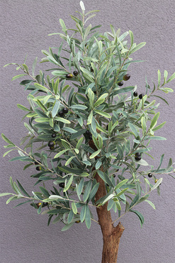 Oliwka Concrete Lite, sztuczne drzewko w betonowej donicy, wys.175cm 