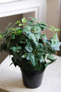 Bluszcz, sztuczna roślina w  donicy, wym.39x31x31cm