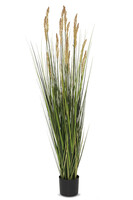 sztuczna trawa Pióropusze Pampas, wys.157cm