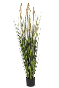 sztuczna trawa Pióropusze Pampas, wys.157cm