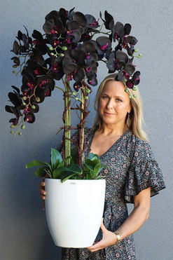 Aubergine New, sztuczny storczyk w białej donicy, wys.108cm