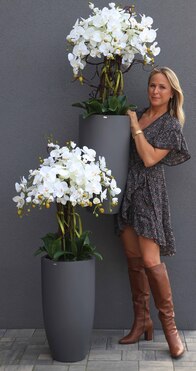 Fiberglass Grande Gray, storczyk w szarej donicy, wys.130cm 