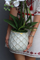 Tilda White Cremona, śnieżnobiały storczyk w ceramicznej donicy