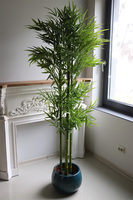 Bambus, sztuczna roślina w osłonce z tworzywa, wys.175cm