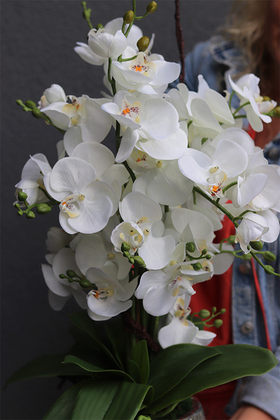 Modern Home, sztuczny storczyk w biało-srebrnej osłonce