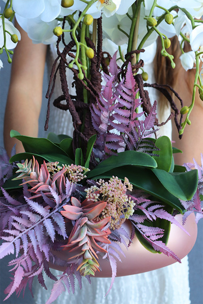 Cecile Pastelisa, efektowny storczyk w różowej misie, wys.56cm