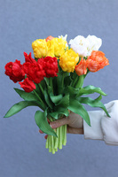Novelty Orangi, bukiet gumowych tulipanów