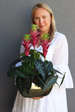 OD RĘKI Bromelia Róż, gumowa sztuczna roślina w doniczce, wys.53cm