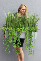 Balconera Agneso 3, ekskluzywna kompozycja z trawami w donicy, wys.70cm