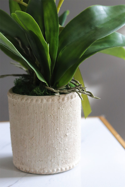 Kulena Tall 2, gumowy storczyk w etno donicy