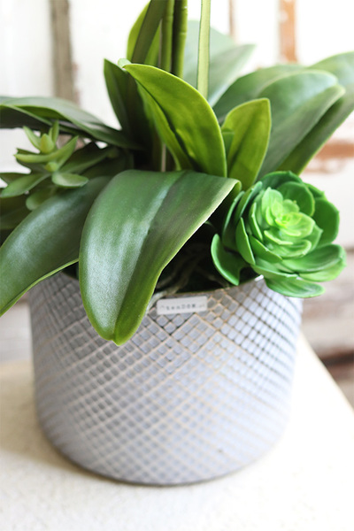 Bedrato, storczyk z sukulentami w srebrnej donicy, wys.72cm