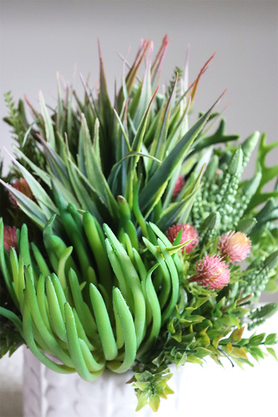 Jerudo D, kompozycja sukulenty w białej donicy, wys.27cm