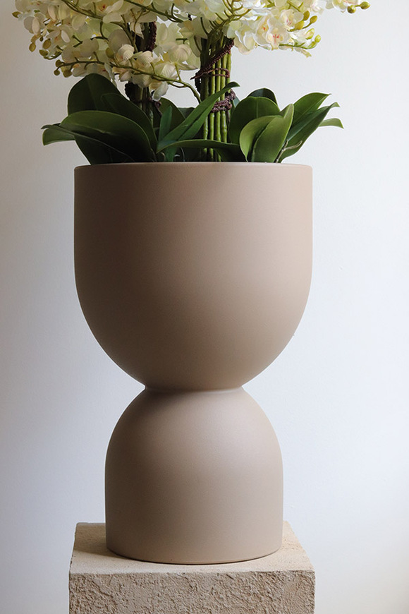 Clepsidre, duży storczyk w pucharze