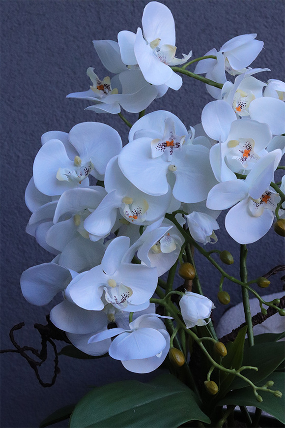 Green Land Gaina 2, wysokiej jakości sztuczny storczyk