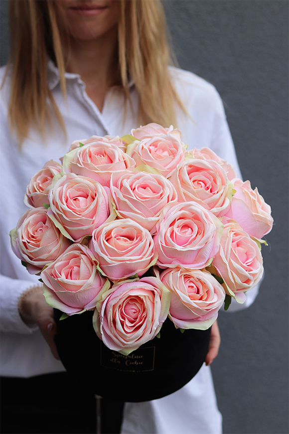 Pudrovy Benita, czarny różany flowerbox